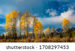 Sawtooth National Forest with autumn trees and cloudy sky