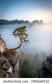 In The Saxon Switzerland, Germany