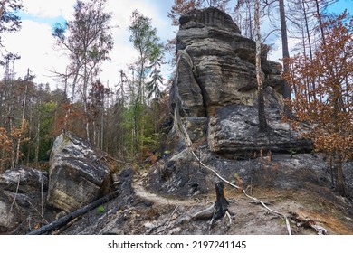 Saxon Switzerland National Park: Burnt Area With Rocks, Fire Hose And Trail After Huge Wild Fires