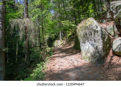 Saxon Switzerland National Park, Germany