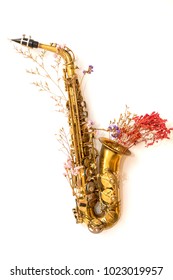 Saxo Flores Imagenes Fotos De Stock Y Vectores Shutterstock