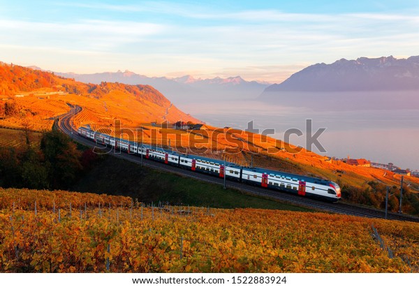 An SBB train traveling on a railway curve\
thru Lavaux vineyard terraces on the shore of Lake Geneva with the\
grapevines turning into golden colors at sunset in autumn, in\
Grandvaux, Vaud, Switzerland