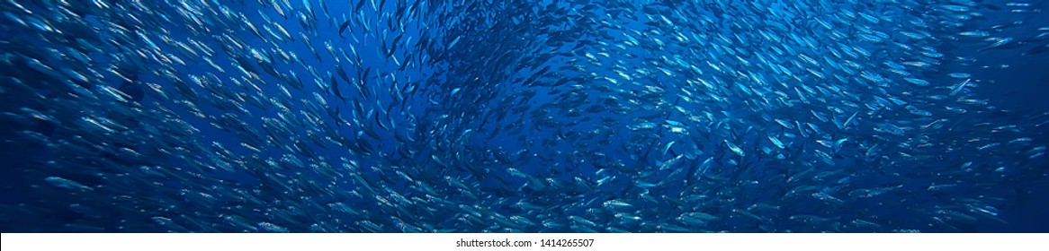 Muschel unter Wasser / Meeresökosystem, große Fischschule auf blauem Hintergrund, abstrakter Fisch lebendig