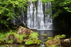 Scale Haw Force Near Hebden In Wharfedale, Yorkshire Dales, Yorkshire, England, United Kingdom, Europe