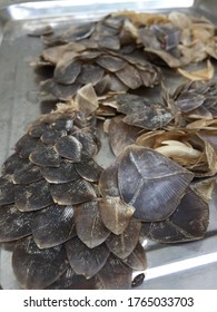 Scales Of The Killed Armadillo To Be Used For Food