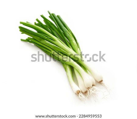 scallion green onions or spring onions isolated on white background. fresh scallion green or spring onions isolated on white background. scallion green or spring onions isolated 