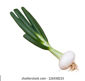 Scallion Sprig Isolated On White