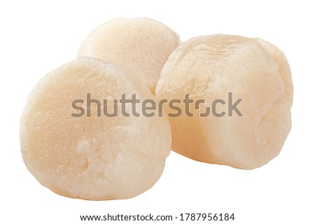 scallop isolated on white background, clipping path, full depth of field