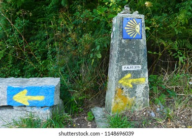 Scallop Shell Symbol Way St James Stock Photo 1148696039 | Shutterstock