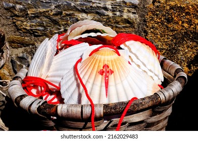 Scallop shells with the Cross of the Order of Santiago. Scallop shells are the symbol of the Saint James Way (Camino de Santiago) - Shutterstock ID 2162029483