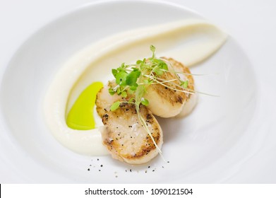 Scallops Plated On Dinner Plate At Fancy Hotel 