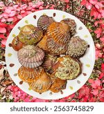 scallops, vectors, design, lines, vintage, shape, red, cooking, party, grill, appetizer, food, nature, seafood, sea, shellfish, cooking, scallops, ocean, gourmet