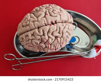 Scalpel Clamps And Brain Anatomy Model. Performing Brain Surgery Concept