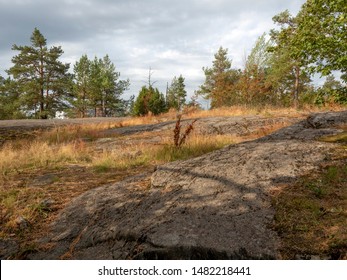 Scandinavian landscape. Trees grow in a rocky environment. Stony trail. Windy cloudy skies. - Shutterstock ID 1482218441