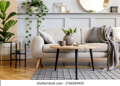Scandinavian living room interior with design grey sofa, wooden coffee table, plants, shelf, mirror, furniture, plaid pillow, teapot, book and elegant personal accessories in home decor.