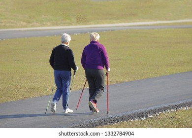 Scandinavian Nordic Walking. Two Older Women Are Engaged In Sports Even Down The Paved Path In The Spring Time. In The Rays Of Sunlight. Healthy Lifestyle. Sport's Event. A Example Of Society.