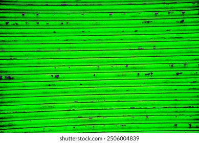 Scanlines background. Parallel lines over shaded green background. 