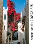 scanned slide of a historical color photograph of a red blooming BOUGAINVILLEA in a narrow alley in Thera, San Turin, Cyclades