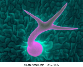 Scanning Electron Micrograph Of Trichome: A Leaf Hair Of Thale Cress (Arabidopsis Thaliana), An Unique Structure That Is Made Of A Single Cell.