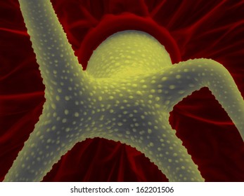 Scanning Electron Micrograph Of Trichome: A Leaf Hair Of Thale Cress (Arabidopsis Thaliana), An Unique Structure That Is Made Of A Single Cell.