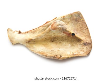 Scapula Bone