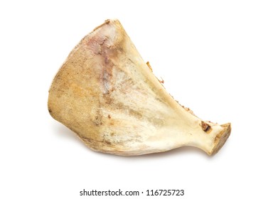 Scapula Bone