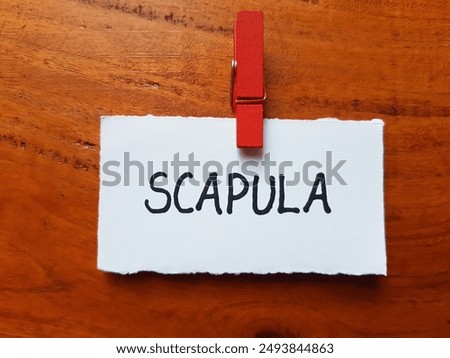 Scapula writting on table background.
