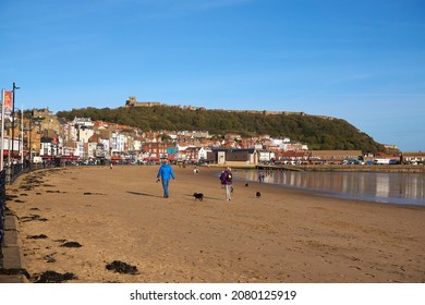 Scarborough, UK 11 08 2021  Dog Walkers On A Beach