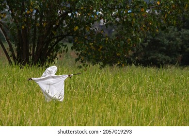 A Scare Crow Used In A Farm In Pune