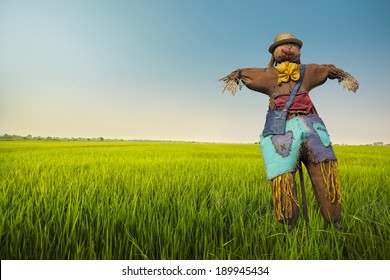 Scarecrow