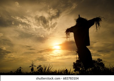 Scarecrow