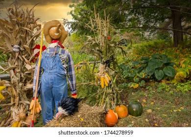 Scarecrow In Autumn Fall Garden With Sunset 