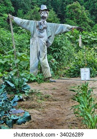 Scarecrow: Bearded Scarecrow on duty in mountain vegetable garden