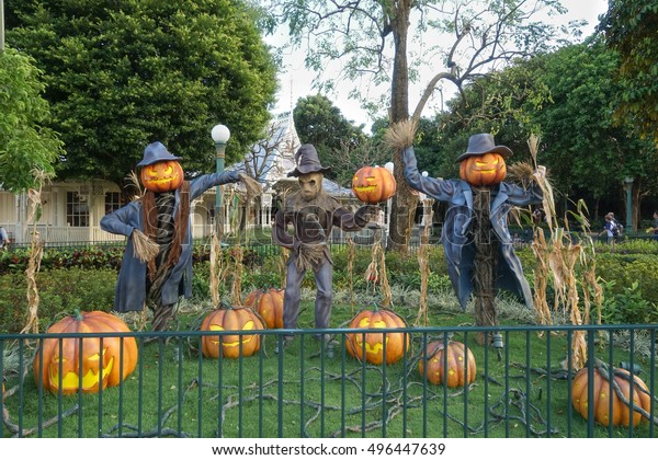 Scarecrow Halloween Pumpkin Head Jack O Royalty Free Stock Image