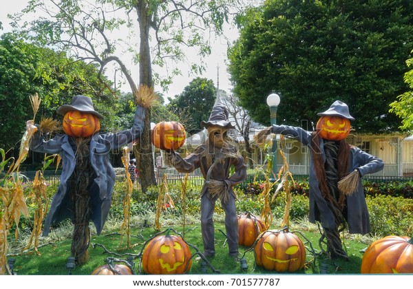 Scarecrow Halloween Pumpkin Head Jack O Stock Photo Edit Now