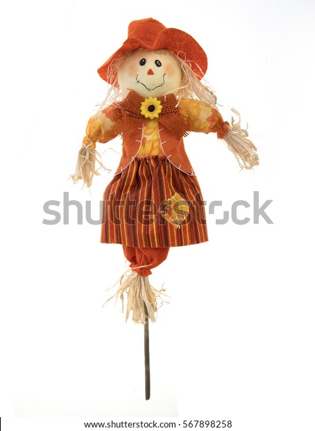 Scarecrow Isolated On White Background Stock Photo (Edit Now) 567898258