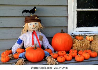 Scarecrow seating on porch of old country house and guarding orange pumpkins from birds, typical traditional Thanksgiving symbols used in decoration. 