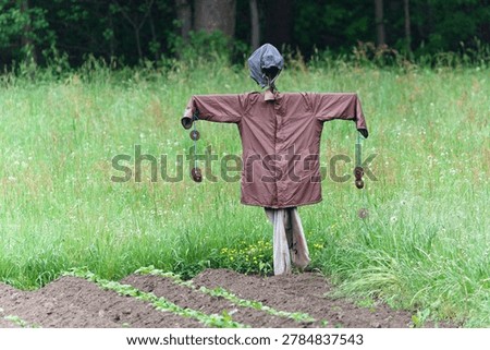 Scarecrow standing in the corner of a field to deter birds from crops