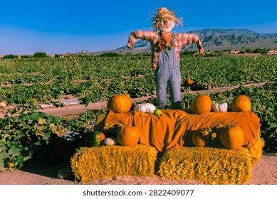 A scarecrow stands on a haystack surrounded by orange pumpkins with desert mountains in the background.