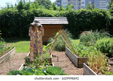 Scarecrow in the urban vegetable garden. scene from botanical garden in Zagreb, Croatia.  - Powered by Shutterstock