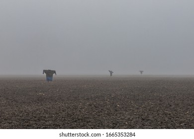 Scarecrows Standing In The Thick Fog On An Empty Crop Field. Dark And Misty Farmland Winter Scene. 