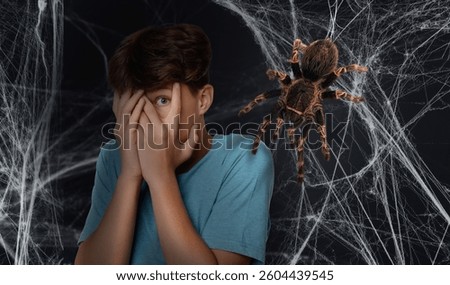 Scared boy and cobweb with spider against dark background. Arachnophobia concept