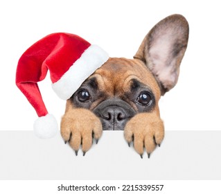 Scared French Bulldog Puppy Wearing Red Santa Hat  Looks Above Empty White Banner. Isolated On White Background