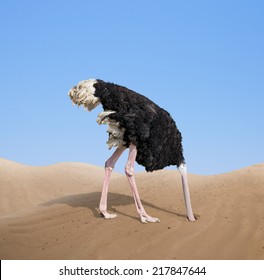 scared ostrich burying its head in sand concept