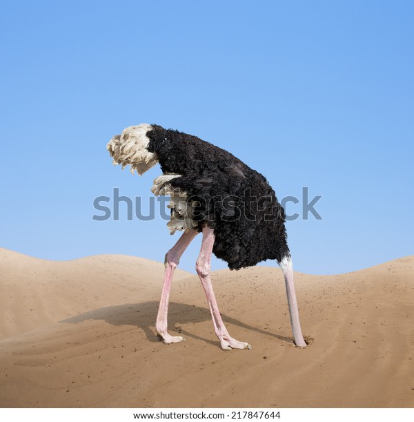 頭を砂のコンセプトに埋め込む恐怖のあるダチョウ の写真素材 今すぐ編集 217847644