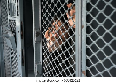 Scared Sad Man Jail Behind Prison Stock Photo 530825122 | Shutterstock