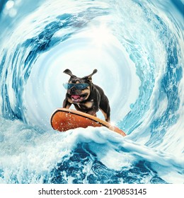 Scared Surprised Shocked Surf Rider Collage Stock Photo 2190853145 ...