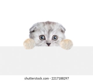 Scared Tiny Kitten Looks Above Empty White Banner. Isolated On White Background