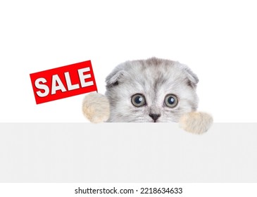 Scared Tiny Kitten Looks Above Empty White Banner And Shows Signboard With Labeled 