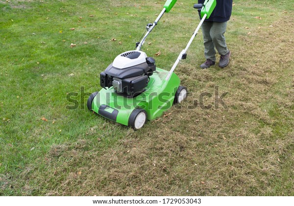 Scarifying lawn with a scarifier. Person\
dethatching moss in a backyard, lawn maintenance,\
UK
